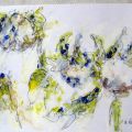 IMG 4060w